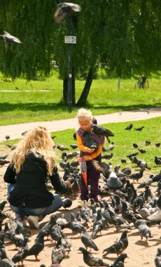 sergiev posad güvercin besleme