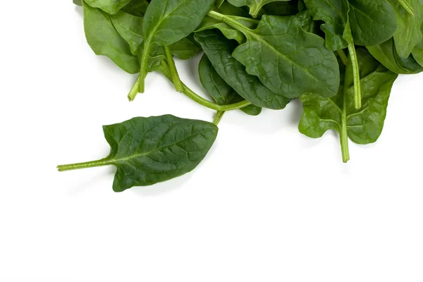 Fresh spinach leaves — Stock Photo, Image