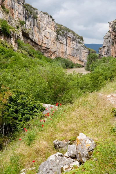 Gorges of Lumbier, Spain — Stock Photo, Image