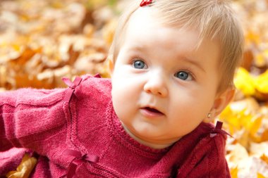 Portret van herfst meisje van de baby