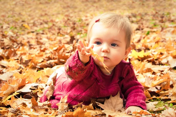 Baby att fånga ett gult löv — Stockfoto