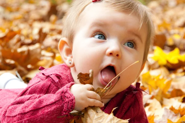 Linda niña comiendo hojas de otoño — Foto de Stock