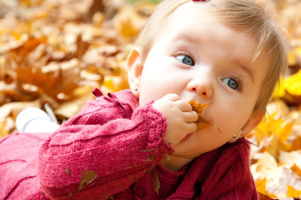 Baby flicka äter hösten lämnar — Stockfoto