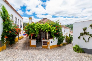 Obidos, Portekiz - 27 Haziran 2021: Bidos köyünde asmalar ve çiçeklerle kaplı pitoresk misafir evi