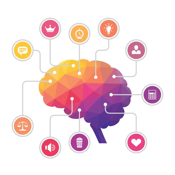 insan beyni - çokgen Infographic illüstrasyon simgeleri ile renkli