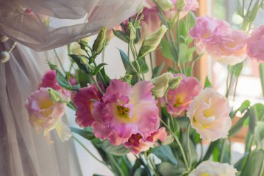 Buketteki büyük pembe Eustoma çiçeği. Annem ve kız arkadaşım için güzel bir hediye..