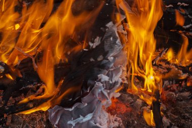 Şenlik ateşi. Ateş, kağıt, kitap ve belgeleri yakar. Delillerin yok edilmesi.