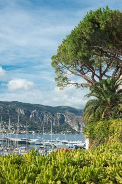 Provence Saint-Jean-Cap-Ferrat bölgesindeki Cote d 'Azur tatil beldesinde yat ve tekne parkı. Fransız Rivierası. Zengin hayat.