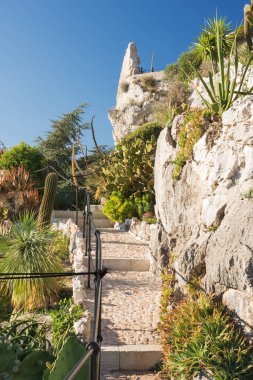 Fransız Rivierası 'ndaki Eze köyündeki botanik bahçesinde yürü. Fransa 'nın en genç Alp botanik bahçesi.