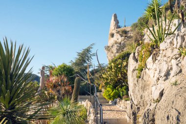 Fransız Rivierası 'ndaki Eze köyündeki botanik bahçesinde yürü. Fransa 'nın en genç Alp botanik bahçesi.