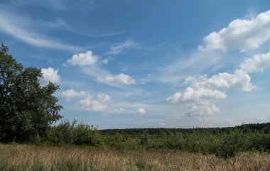 manzara