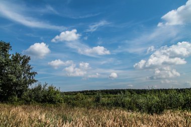manzara