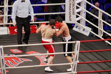 profesyonel boks