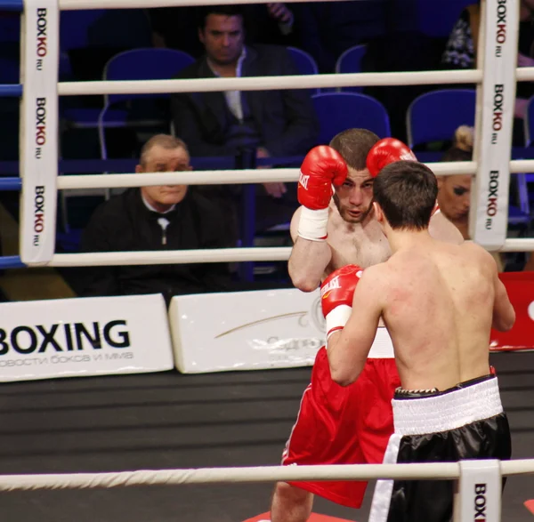 Professional Boxing — Stock Photo, Image