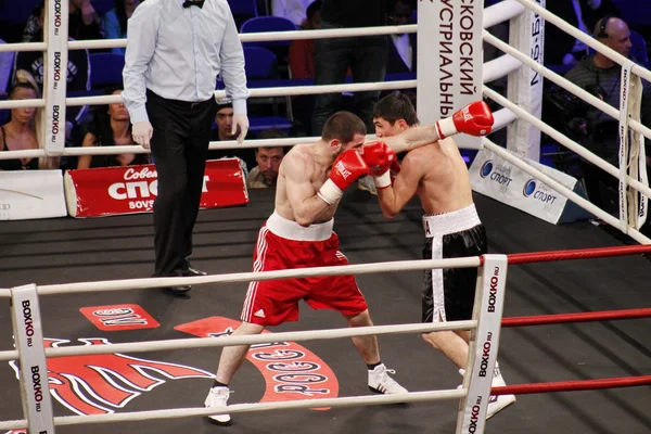 Professionell boxning — Stockfoto