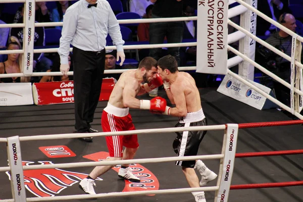 Boxe professionale — Foto Stock