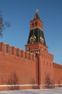 Moskova Kremlin Kulesi