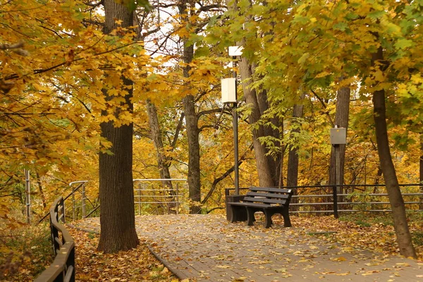 モスクワの街スヴォーロフスキー公園2021年秋 葉を持つベンチ — ストック写真