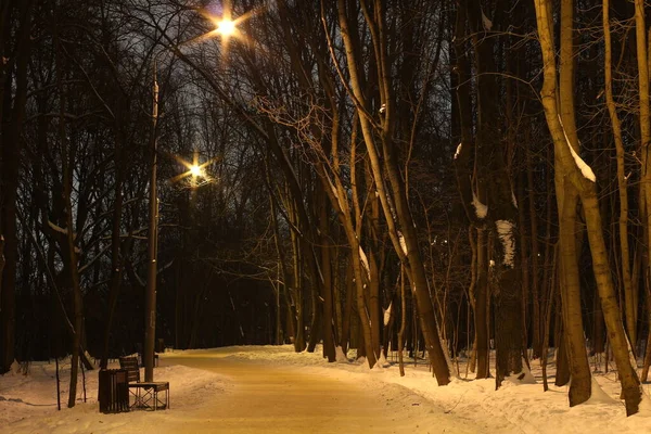 Night City Moscow Winter 2022 Suvorov Park Place Walking — Zdjęcie stockowe