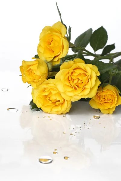 Yellow roses — Stock Photo, Image