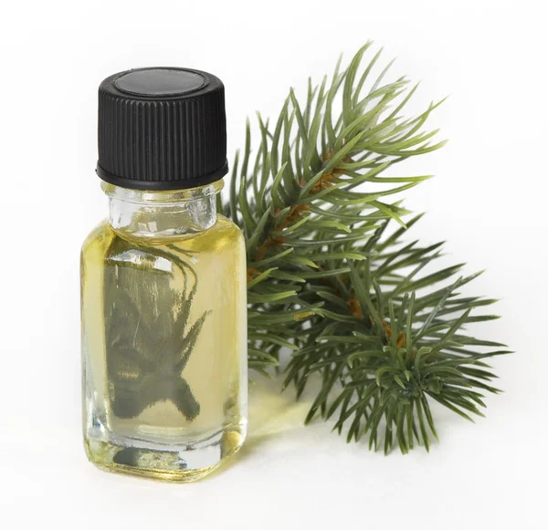 Fir essential oil — Stock Photo, Image