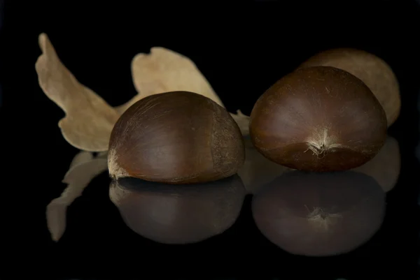 Castagne e foglie secche — Foto Stock