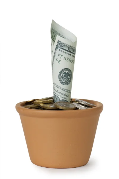 100 dólares em um pote de flores — Fotografia de Stock