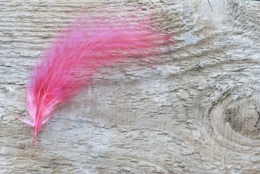 red feather on wooden board