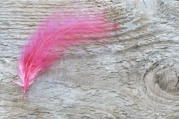 Pluma roja sobre tabla de madera —  Fotos de Stock