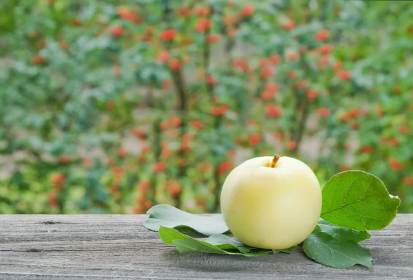 Pomme dans le jardin — Photo