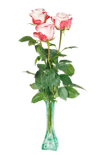 Tři růže v skleněná váza — Stock fotografie