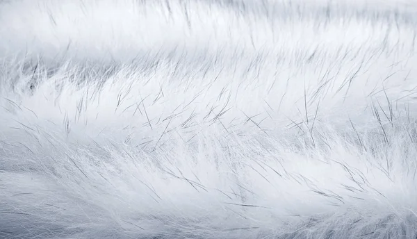 Άσπρο fur φόντο — Φωτογραφία Αρχείου