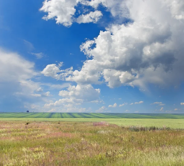 Paesaggio — Foto Stock