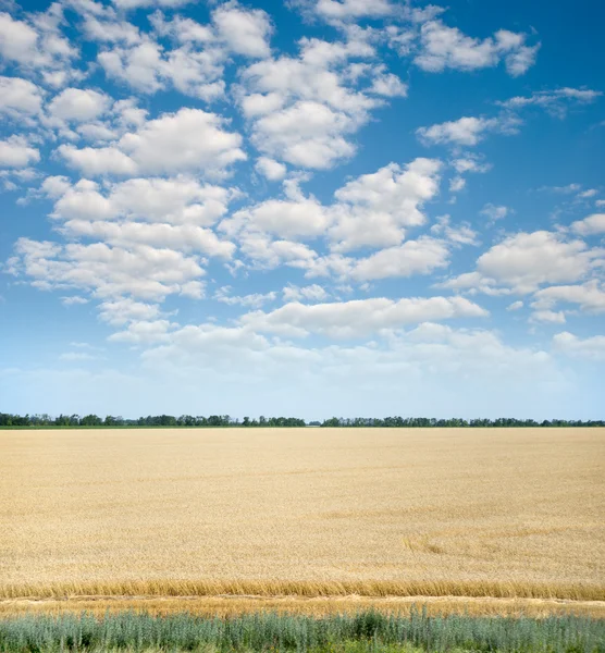 Paesaggio rurale — Foto Stock