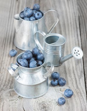 Yaban mersini bir metal sofra