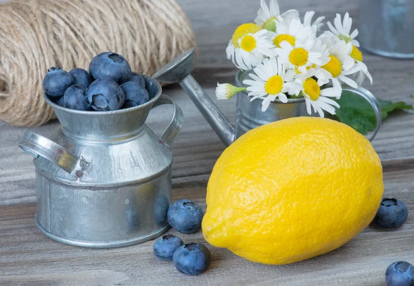 Stilleben med blåbär, citron och chamomiles — Stockfoto