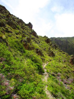Ollantaytambo, Cusco, Peru 'daki doğa ve harabeler. seyahat fotoğrafı