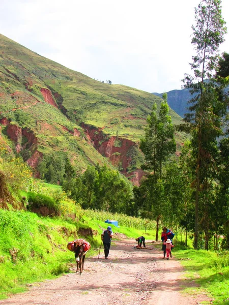 Familia Rural Perú Naturaleza Personas — Foto de Stock