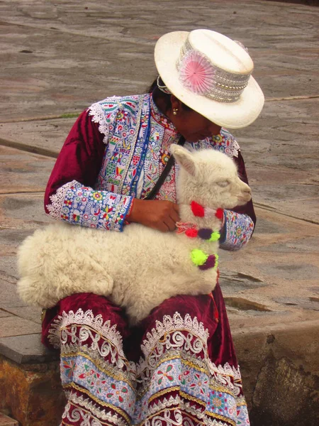 ペルーの伝統的なペルー人女性とアルパカ アレキパ 旅行写真 — ストック写真