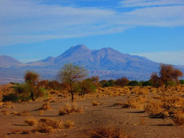 Desierto Atacama Regin Antofagasta Cile — Foto Stock