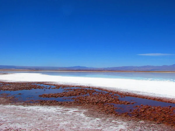 Laguna Tebinquiche San Pedro Atacama Şili Desierto Atacama — Stok fotoğraf