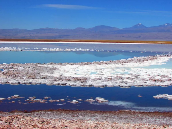Laguna Tebinquiche San Pedro Atacama Chili Desierto Atacama — Photo