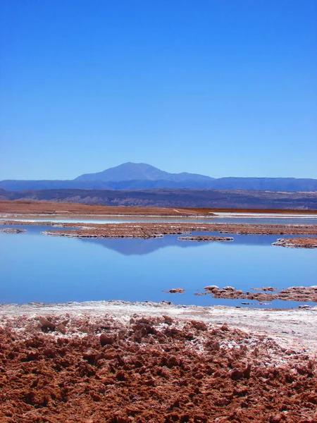 Laguna Tebinquiche San Pedro Atacama Chile 아타카마의 — 스톡 사진