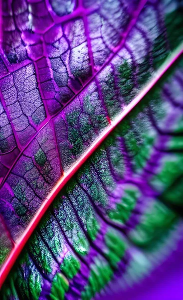 closeup view of beautiful purple feather pattern