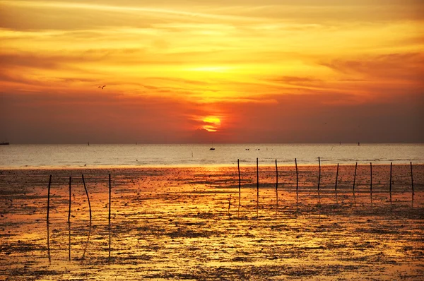 Západ slunce z moře pobřeží — Stock fotografie