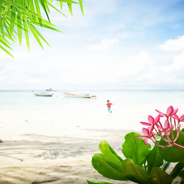 Vacker havsstrand — Stockfoto