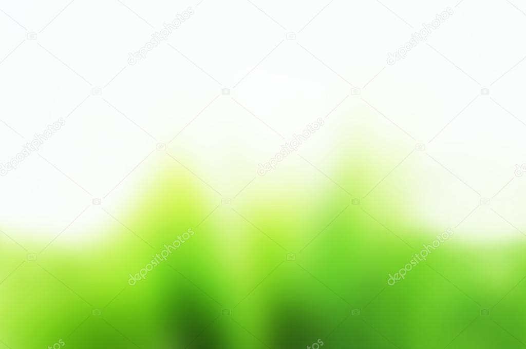 Simple white and green background