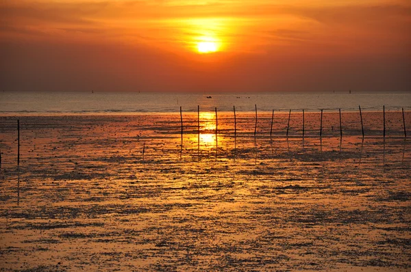 Vista do pôr do sol da costa do mar — Fotografia de Stock