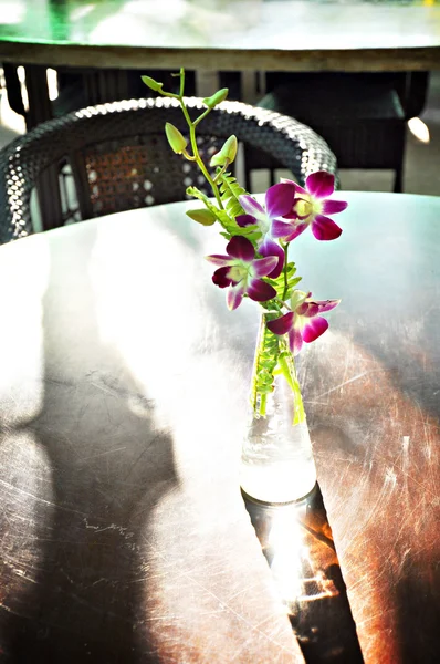 Belles fleurs d'orchidée sur la table — Photo