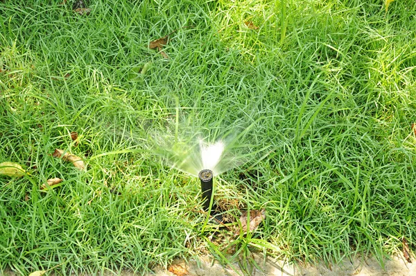 Aspersão de água pulverização na grama verde — Fotografia de Stock